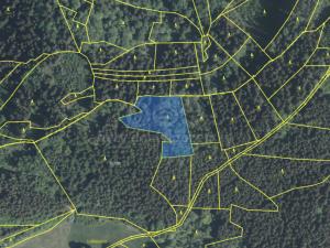 Prodej lesa, Lužná, 5438 m2