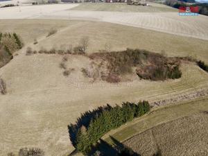 Prodej louky, Rybná nad Zdobnicí, 15081 m2