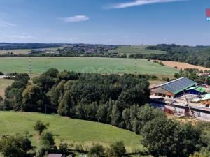 Prodej lesa, Olbramice, 10089 m2