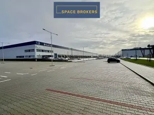 Pronájem skladu, Cheb, 7000 m2