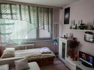 Prodej bytu 2+kk, Teplice, Pražská, 39 m2