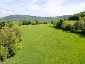 Prodej louky, Děčín, 19126 m2