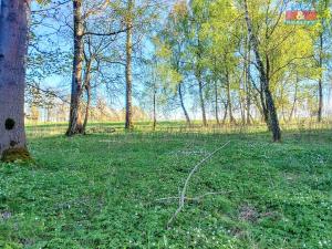 Prodej pozemku pro bydlení, Stará Voda, 2966 m2