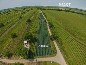 Prodej sadu/vinice, Prušánky, 2318 m2