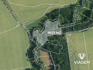 Prodej lesa, Praha, 5020 m2