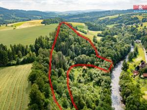 Prodej lesa, Peřimov, 36610 m2