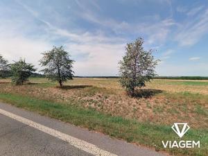 Prodej podílu pole, Praha - Cholupice, 667 m2