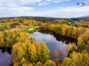 Prodej rybníku, Nové Město pod Smrkem, 39493 m2
