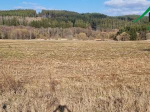 Prodej pole, Halže, 141968 m2