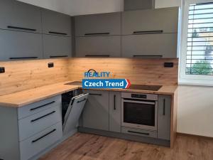 Pronájem bytu 1+kk, Olomouc, Rokycanova, 93 m2