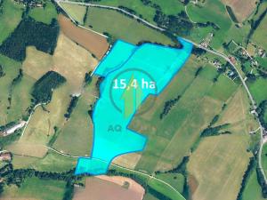 Prodej pole, Horní Olešnice, 153952 m2