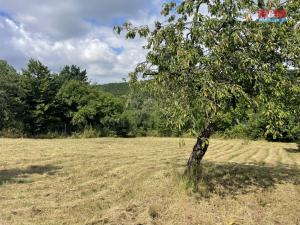 Pronájem pozemku pro bydlení, Praha, Starý lis, 1928 m2