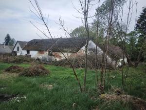 Prodej zemědělské usedlosti, Horní Stropnice, 250 m2