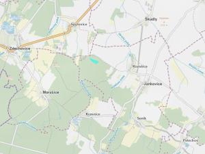 Prodej lesa, Jankovice, 18361 m2