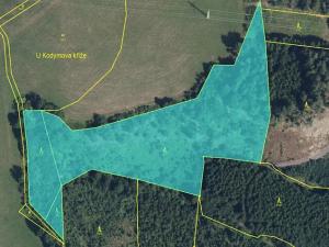 Prodej lesa, Bukovina u Čisté, 12070 m2