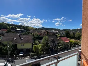 Prodej bytu 1+1, Karlovy Vary, Spálená, 50 m2