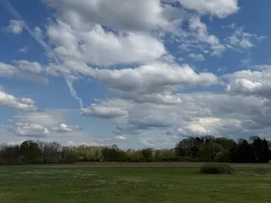 Prodej pozemku, Třeboň, 14477 m2