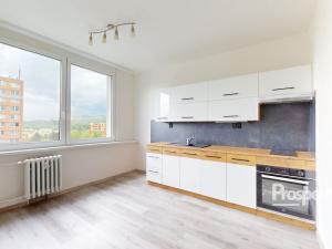 Pronájem bytu 1+1, Ústí nad Labem - Krásné Březno, Rozcestí, 41 m2