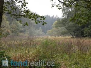 Prodej pole, Kladruby, 42411 m2