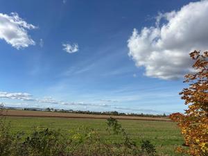 Prodej podílu pole, Olomouc, 10492 m2