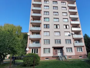 Prodej bytu 2+1, Cheb, Lesní, 52 m2