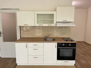 Pronájem bytu 1+kk, Litvínov, Podkrušnohorská, 39 m2