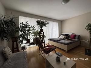 Pronájem bytu 1+kk, Brno, Božetěchova, 52 m2