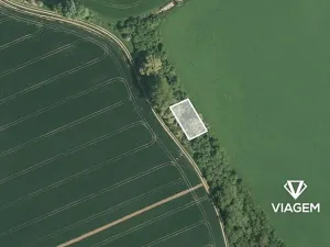 Prodej lesa, Počenice-Tetětice, 630 m2