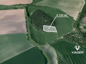 Prodej podílu lesa, Seloutky, 1150 m2