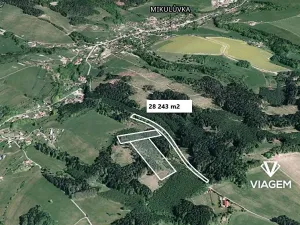 Prodej lesa, Mikulůvka, 28243 m2