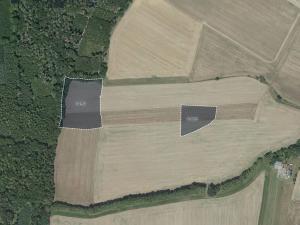 Prodej pole, Masojedy, 21338 m2