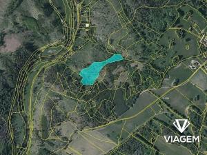 Prodej podílu lesa, Petráveč, 3927 m2