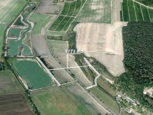 Prodej podílu lesa, Lysá nad Labem, 147 m2