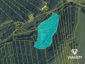 Prodej podílu zahrady, Vlachovice, 2289 m2