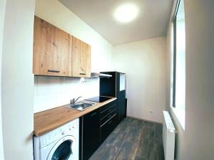 Pronájem bytu 1+kk, Čistá, 41 m2