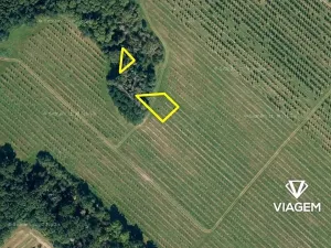 Prodej podílu lesa, Semtěš, 375 m2