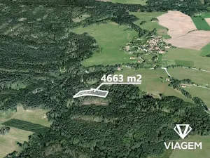Prodej pole, Slavče, 4663 m2