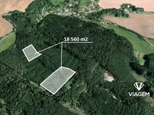 Prodej lesa, Březina, 18560 m2