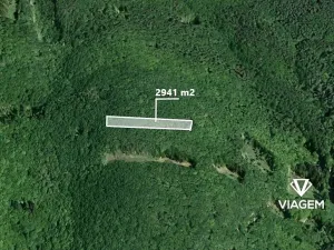 Prodej podílu lesa, Brno, 2941 m2