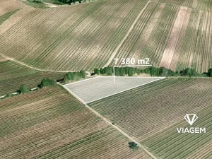 Prodej podílu pole, Velké Bílovice, 922 m2