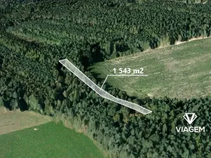 Prodej lesa, Třemošná, 1543 m2