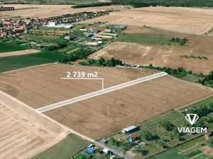 Prodej podílu pole, Kuchařovice, 684 m2