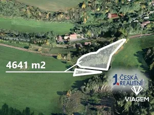 Prodej lesa, Stará Paka, 4641 m2
