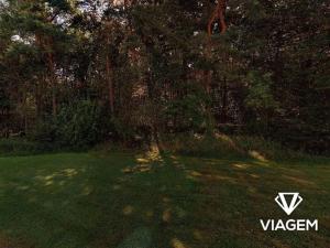 Prodej podílu lesa, Nýřany, 5529 m2