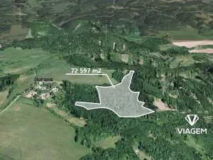 Prodej podílu lesa, Městečko Trnávka, 3310 m2