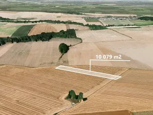 Prodej podílu pole, Dolní Životice, 1083 m2