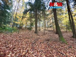 Prodej lesa, Jestřebí, 6855 m2