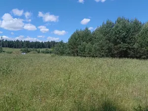 Dražba pozemku, Česká Lípa, 3295 m2