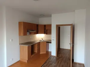 Pronájem bytu 2+kk, Brno, Francouzská, 45 m2