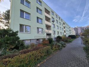 Pronájem bytu 1+1, Brno, 28 m2